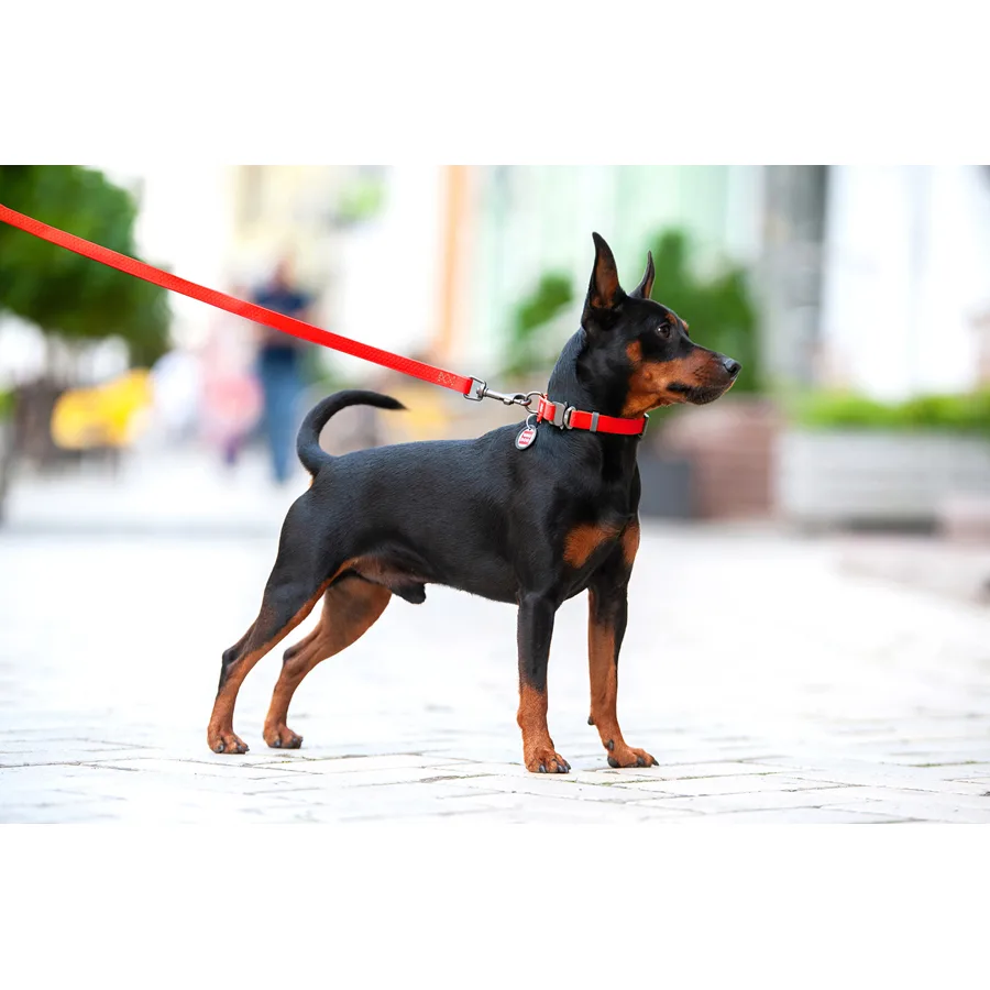 Нашийник WAUDOG Waterproof 25 мм x 38-58 см Collartex червоний
