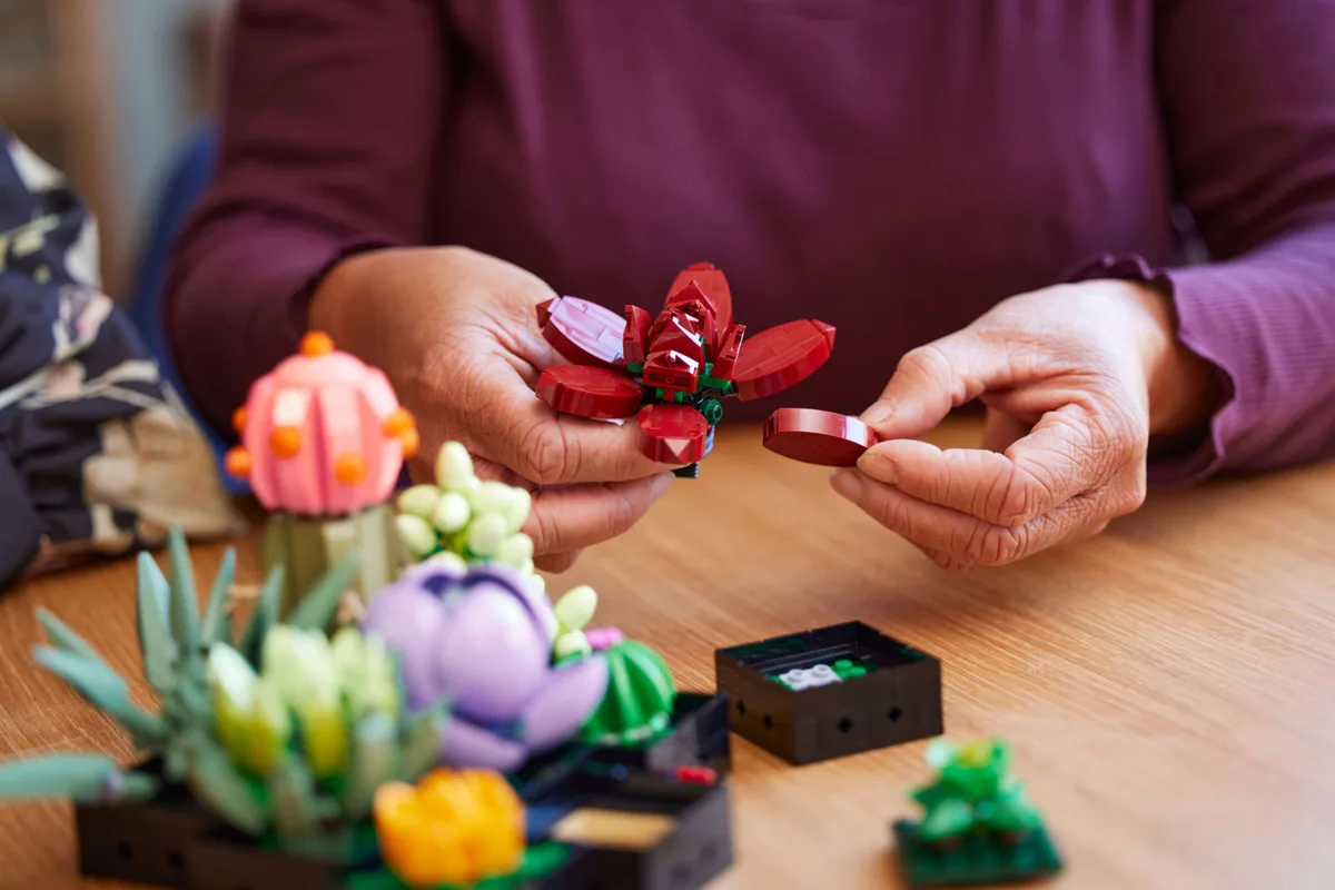 Конструктор LEGO Botanicals Сукуленти
