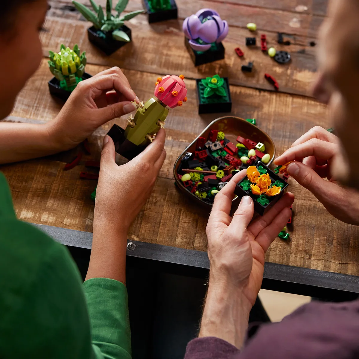 Конструктор LEGO Botanicals Сукуленти