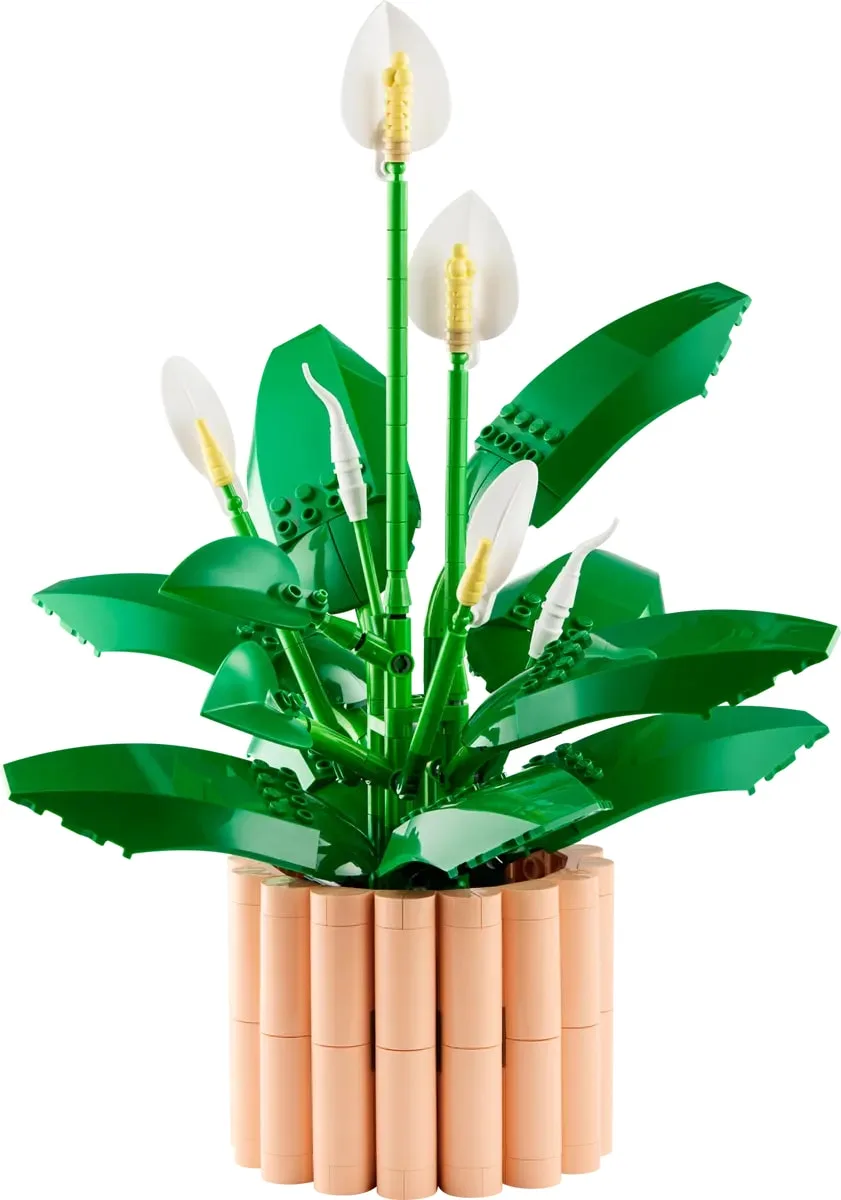 Конструктор LEGO Botanicals Спатифілум