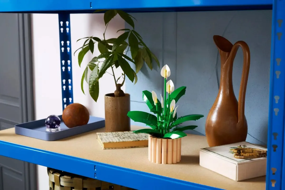 Конструктор LEGO Botanicals Спатифілум