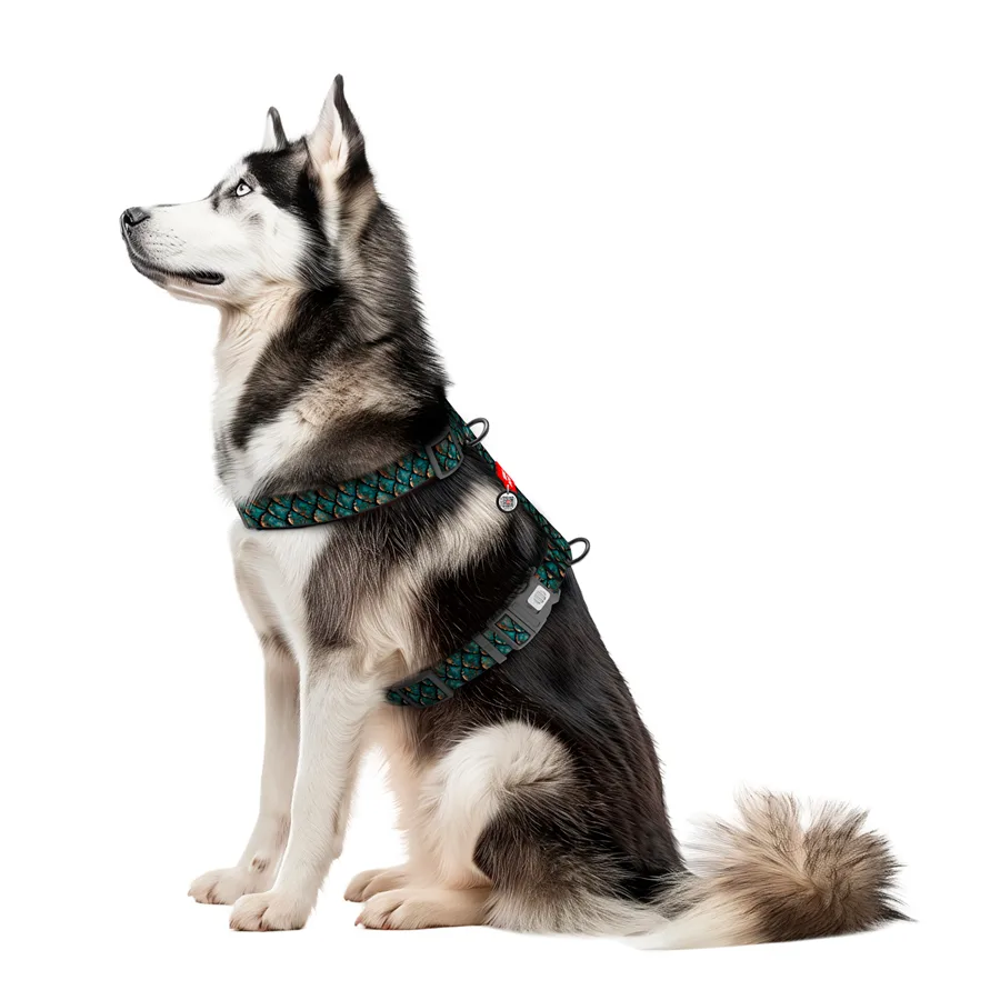 Шлея WAUDOG Nylon H-подібна 35 мм 60-100 см Нейлон XL