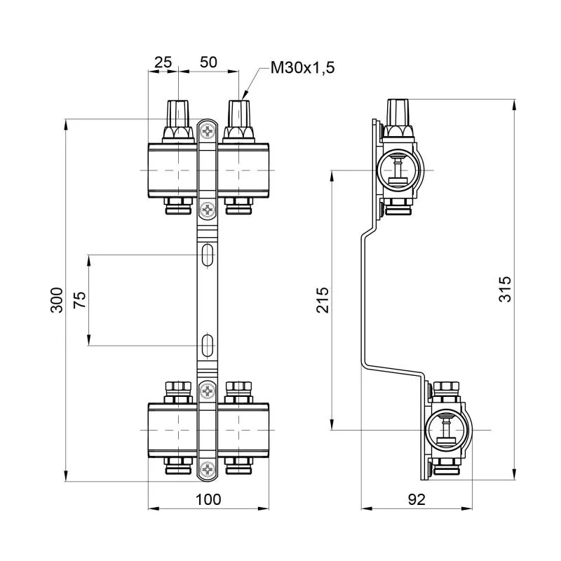 Колектор Thermo Alliance Forte 1" 2 виходи латунний 315х100х92 мм хром
