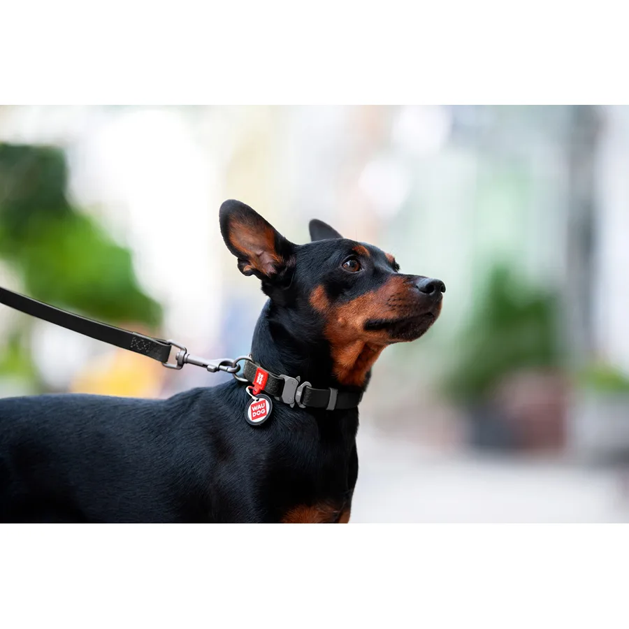 Нашийник WAUDOG Waterproof 25 мм x 38-58 см Collartex чорний металічна пряжка