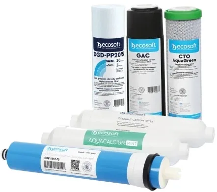 Комплект фільтрів Ecosoft P`URE AquaCalcium М'ятний (12 місяців)