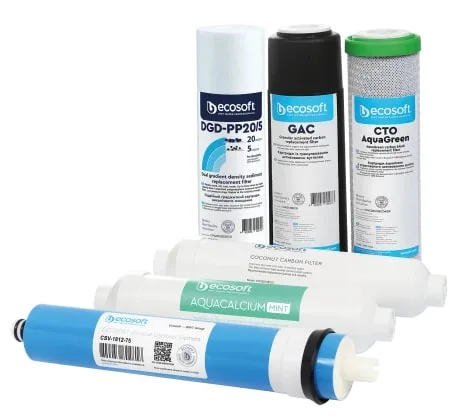 Комплект фільтрів Ecosoft P`URE AquaCalcium М'ятний (12 місяців)