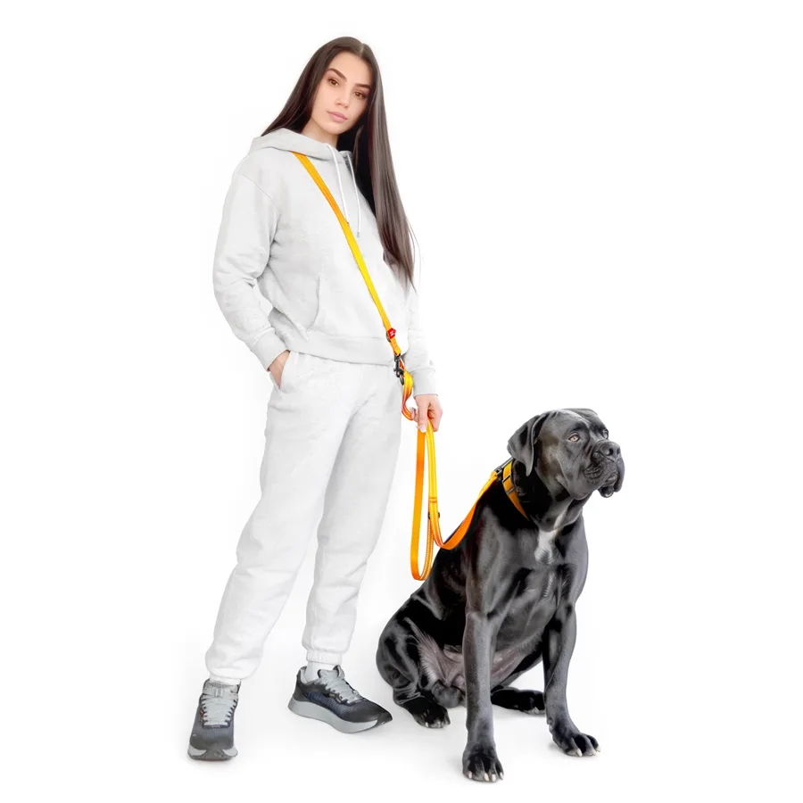 Повідець-перестібка WAUDOG Nylon Mono 20 мм x 300 см Нейлон Світловідбивний Помаранчевий