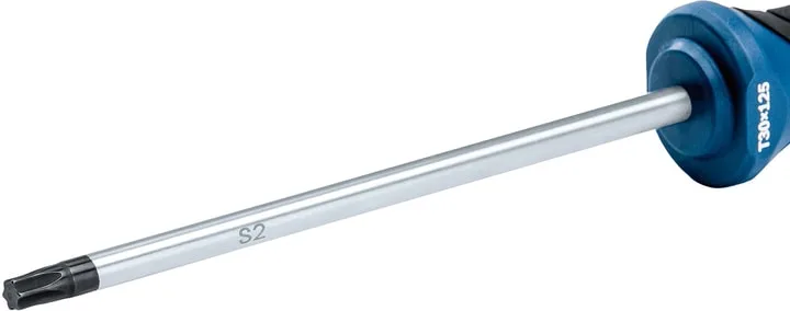Викрутка Bosch Професійна Torx T30x125мм