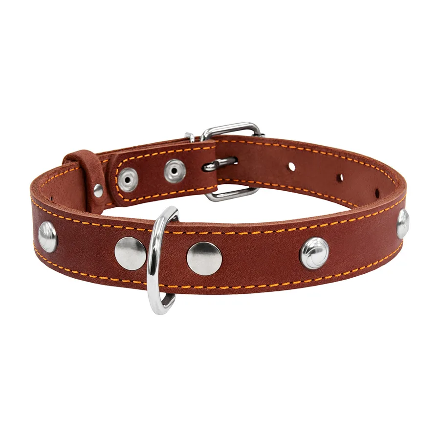 Нашийник одинарний CoLLaR 25мм шкіряний коричневий 38-50 см для собак середнього розміру