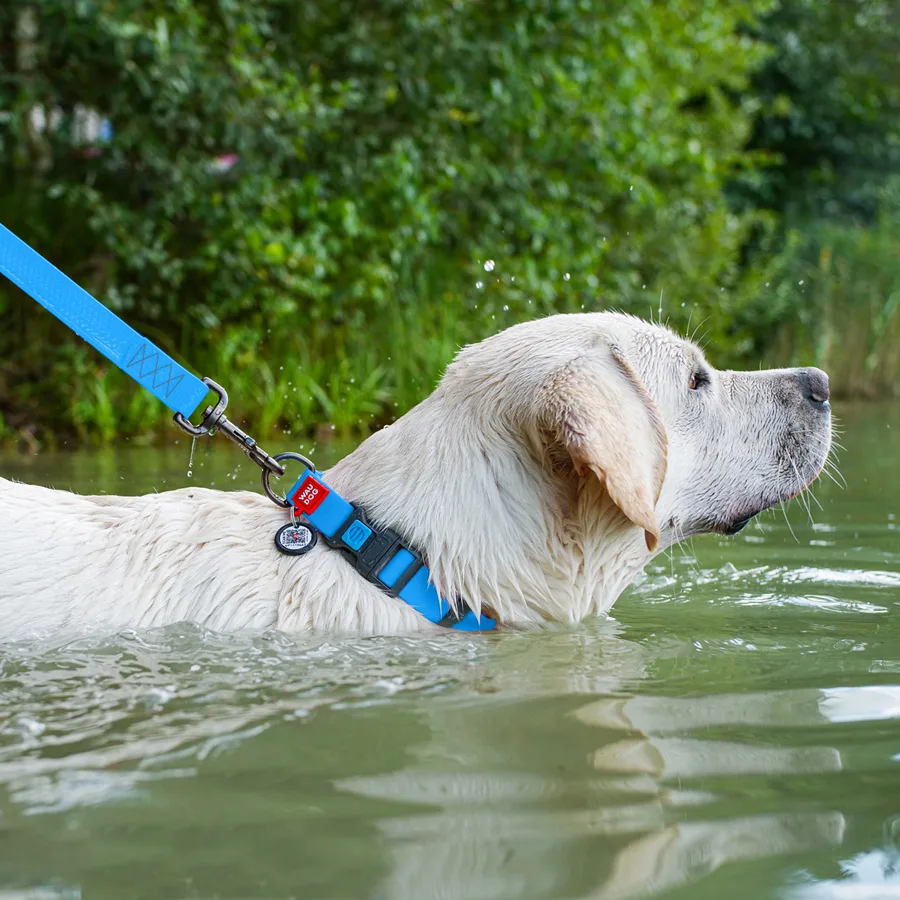 Нашийник WAUDOG Waterproof 25 мм x 38-58 см Collartex блакитний