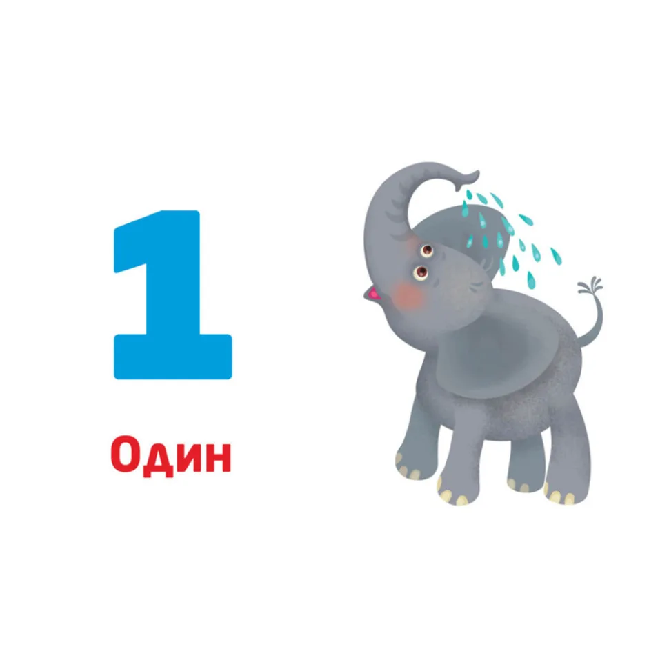 Багаторазові прописи Цифри та числа 31 картка картон 20х15,5 см кольорові