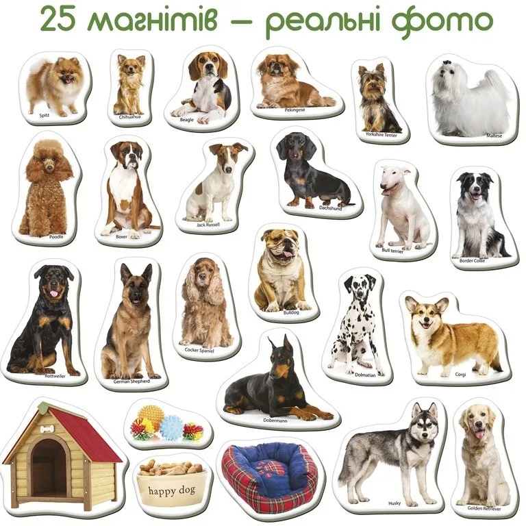 Детский развивающий набор магнитов Magdum 24 фотомагнита Породы собак пластик большой цветной