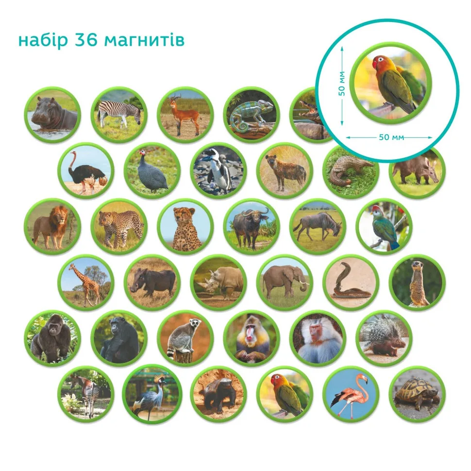 Дитячий магнітний набір DoDo Toys Монтессорі 36 елементів тварини Африки