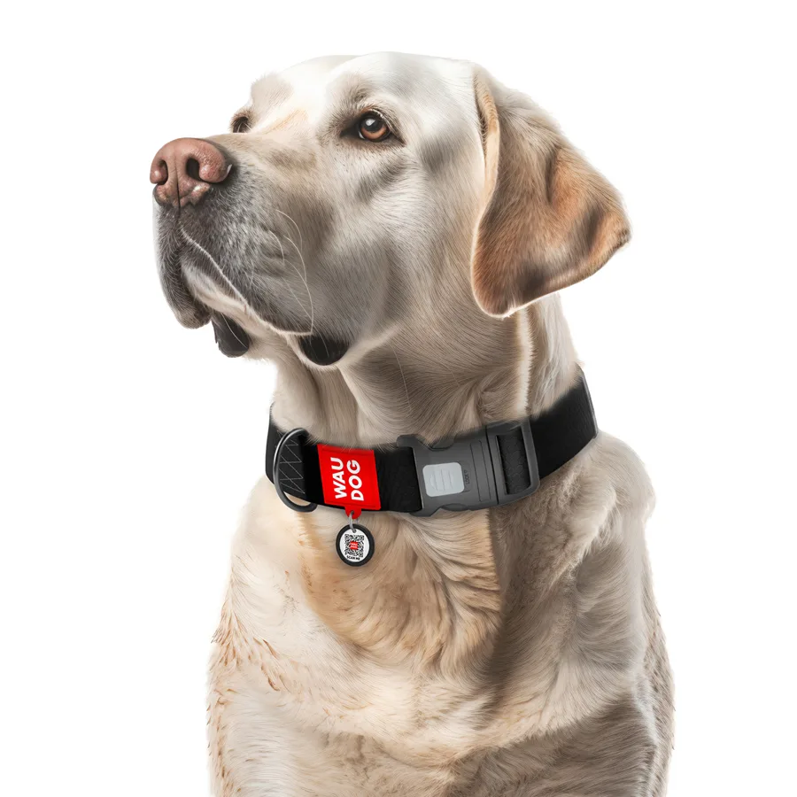 Нашийник WAUDOG Waterproof XXL 40 мм 46-70 см Collartex чорний з QR паспортом