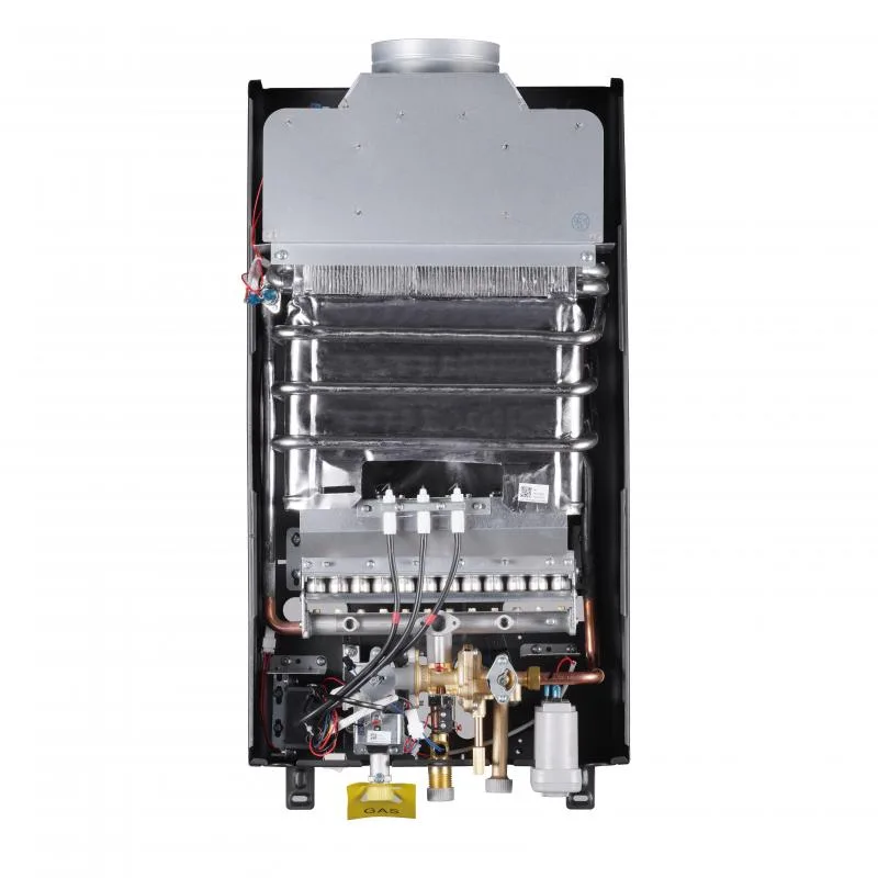 Газова колонка Thermo Alliance JSD20-10CR 10 л димохідна чорна