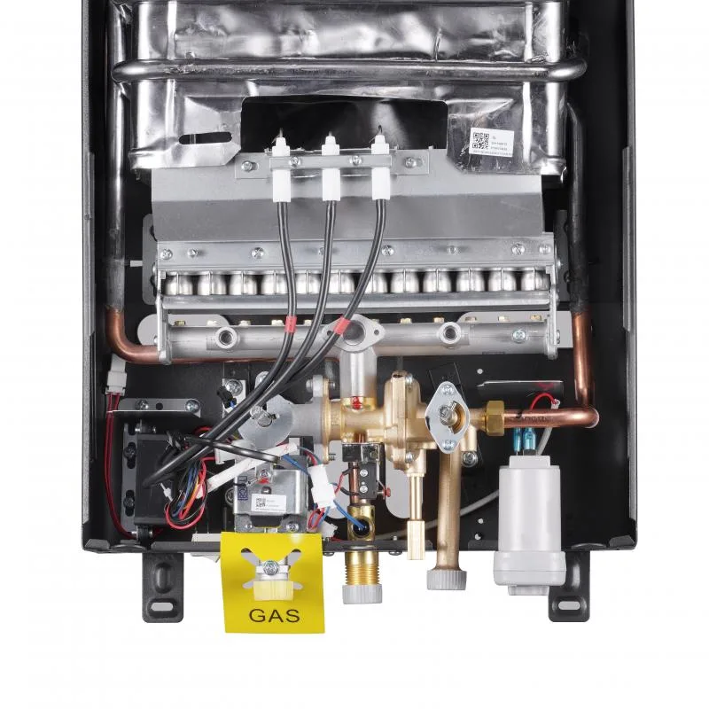 Газова колонка Thermo Alliance JSD20-10CR 10 л димохідна чорна