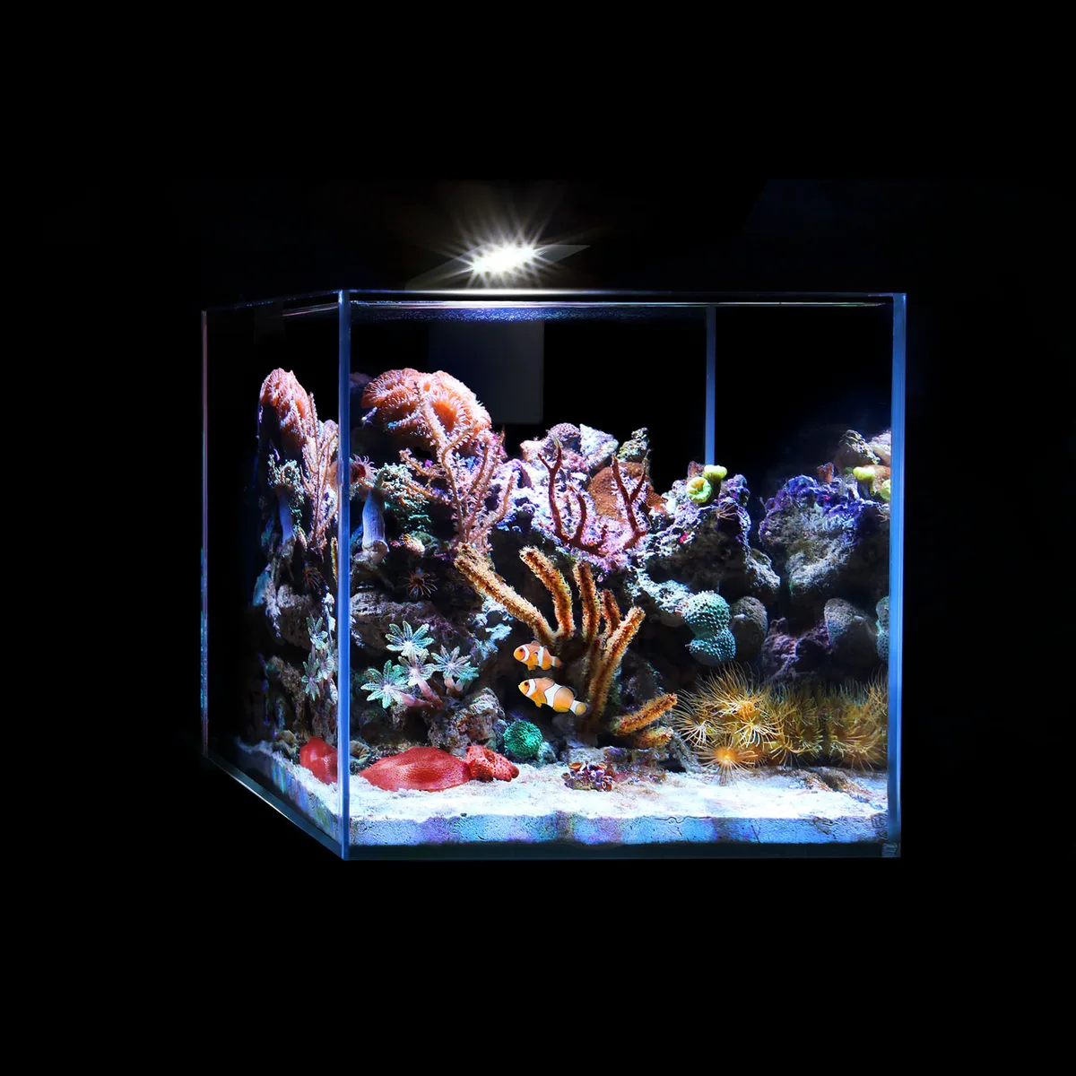 Акваріумний набір AquaLighter Nano Marine 15 л Скло 25х25 см