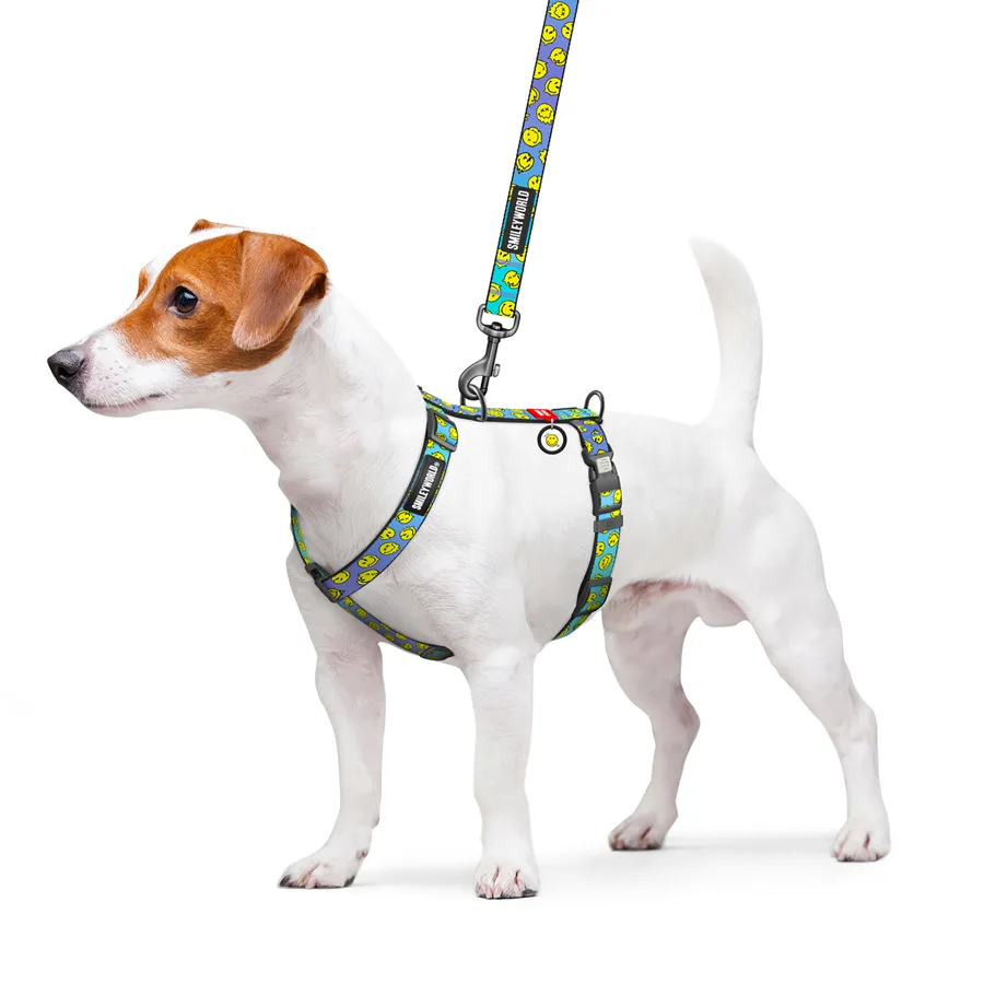 Шлея анатомічна WAUDOG Nylon H-подібна 25 мм 60-100 см блакитна