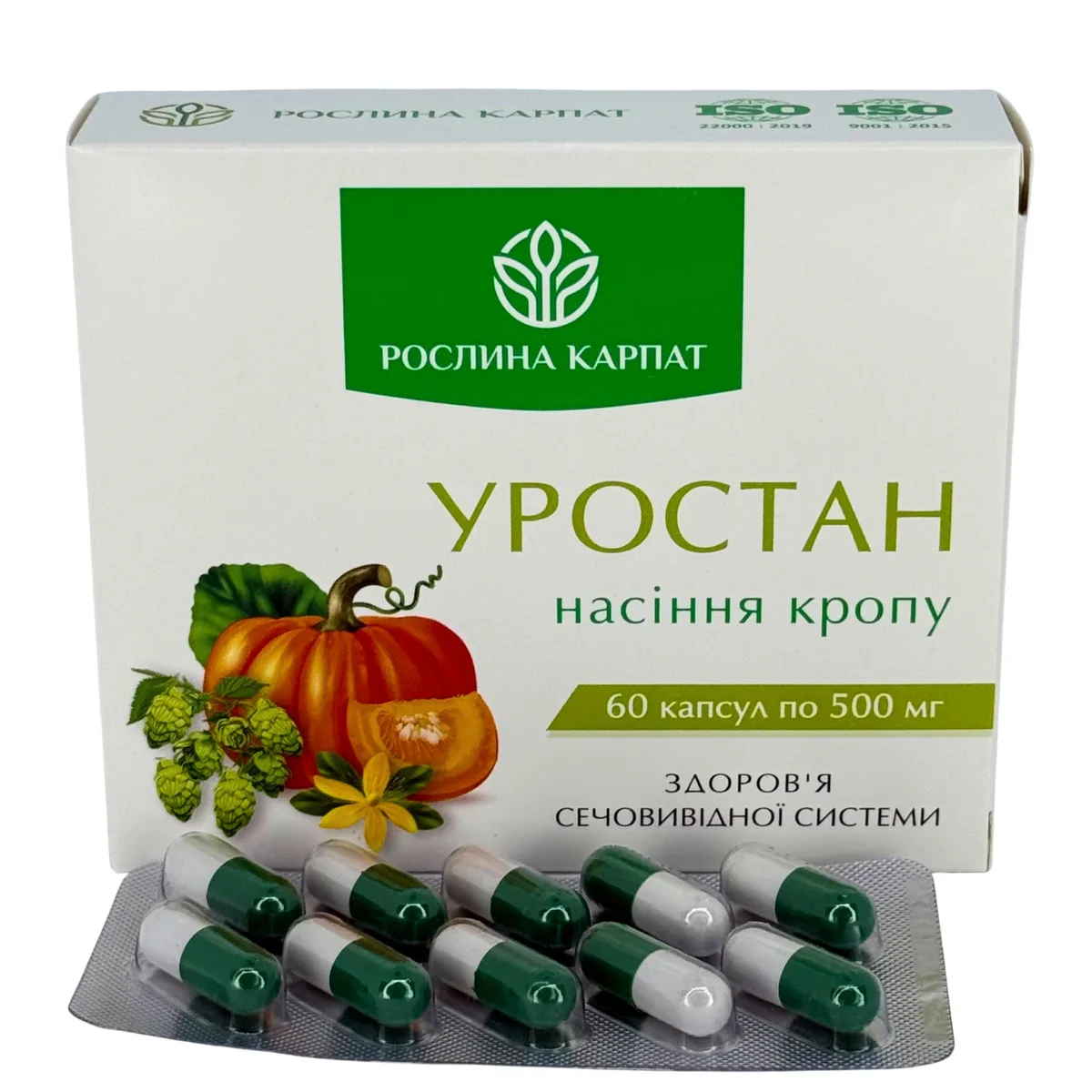 Уростан – природна підтримка здоров'я нирок і сечовивідних шляхів Рослина Карпат