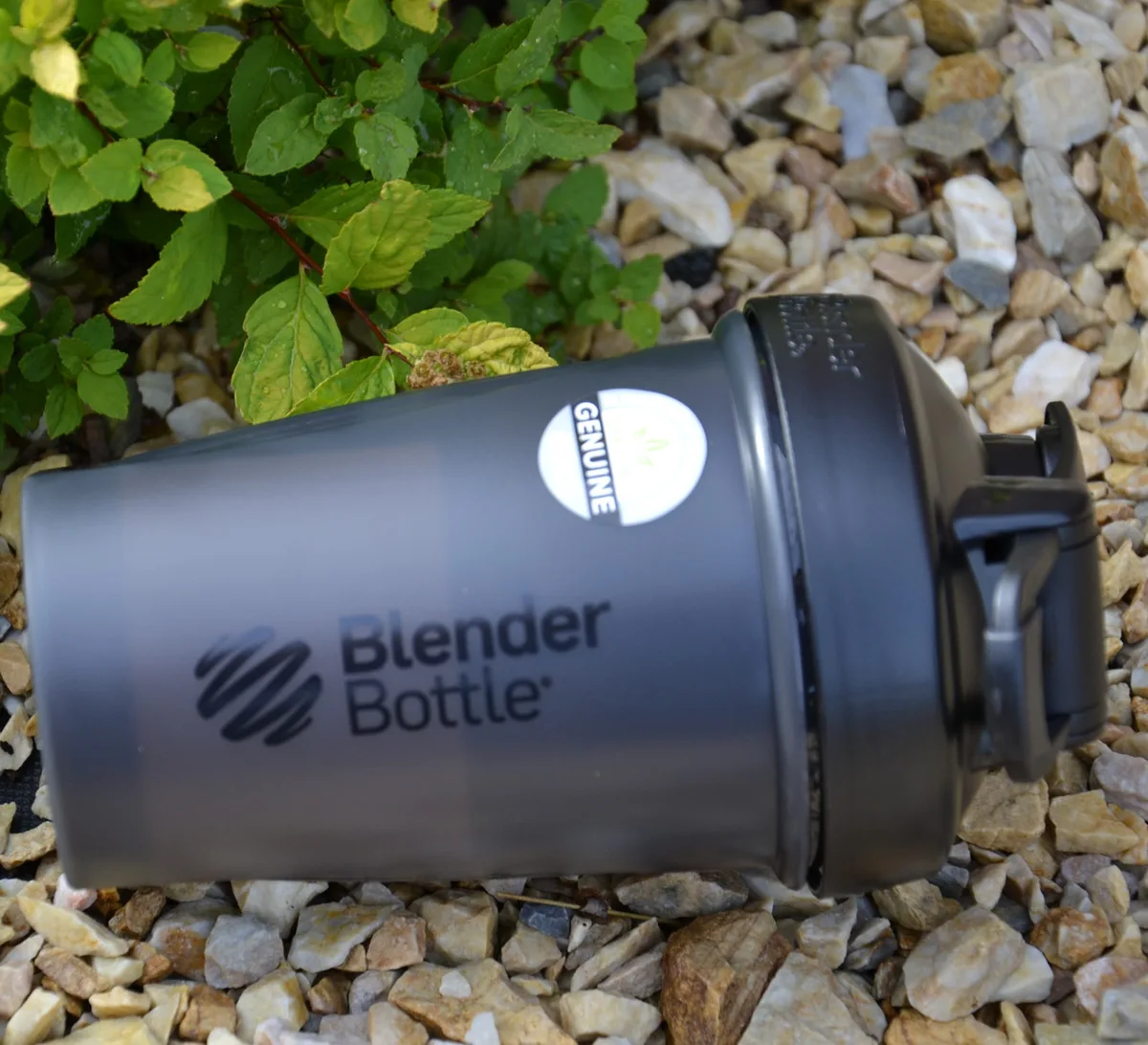 Шейкер спортивний BlenderBottle Tritan 590 мл Чорний