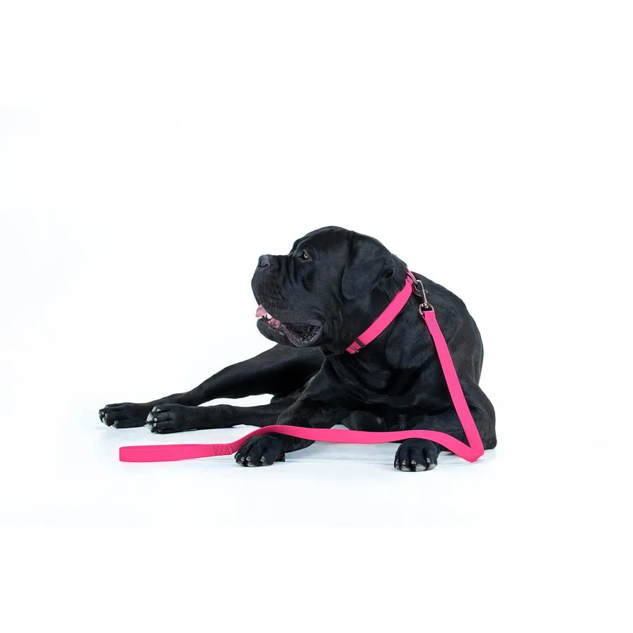 Поводок WAUDOG Waterproof 20 мм x 122 см Collartex розовый