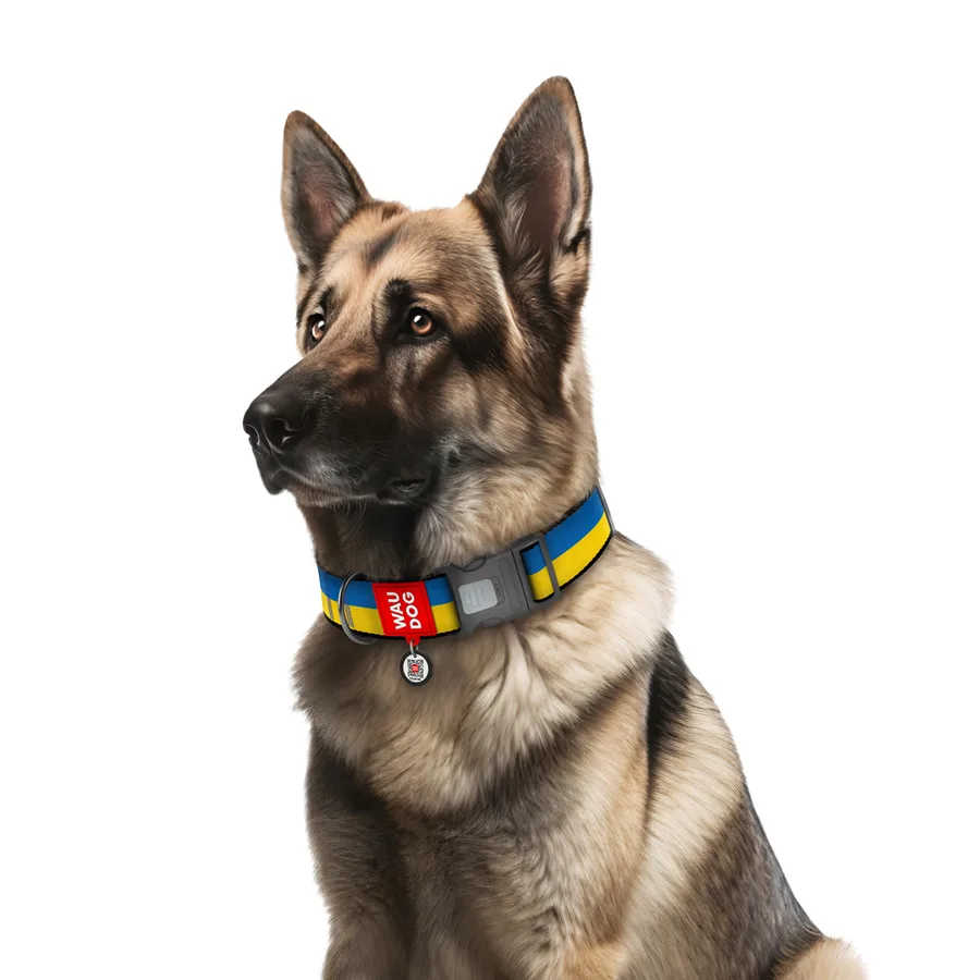 Нашийник WAUDOG Nylon XXL 46-70 см нейлоновий пластиковий фастекс малюнок "Colors of freedom" 35 мм