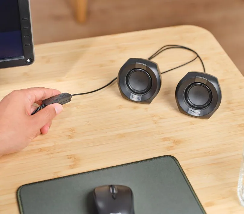 Акустическая система Trust Polo Compact 2.0, USB/AUX, черный