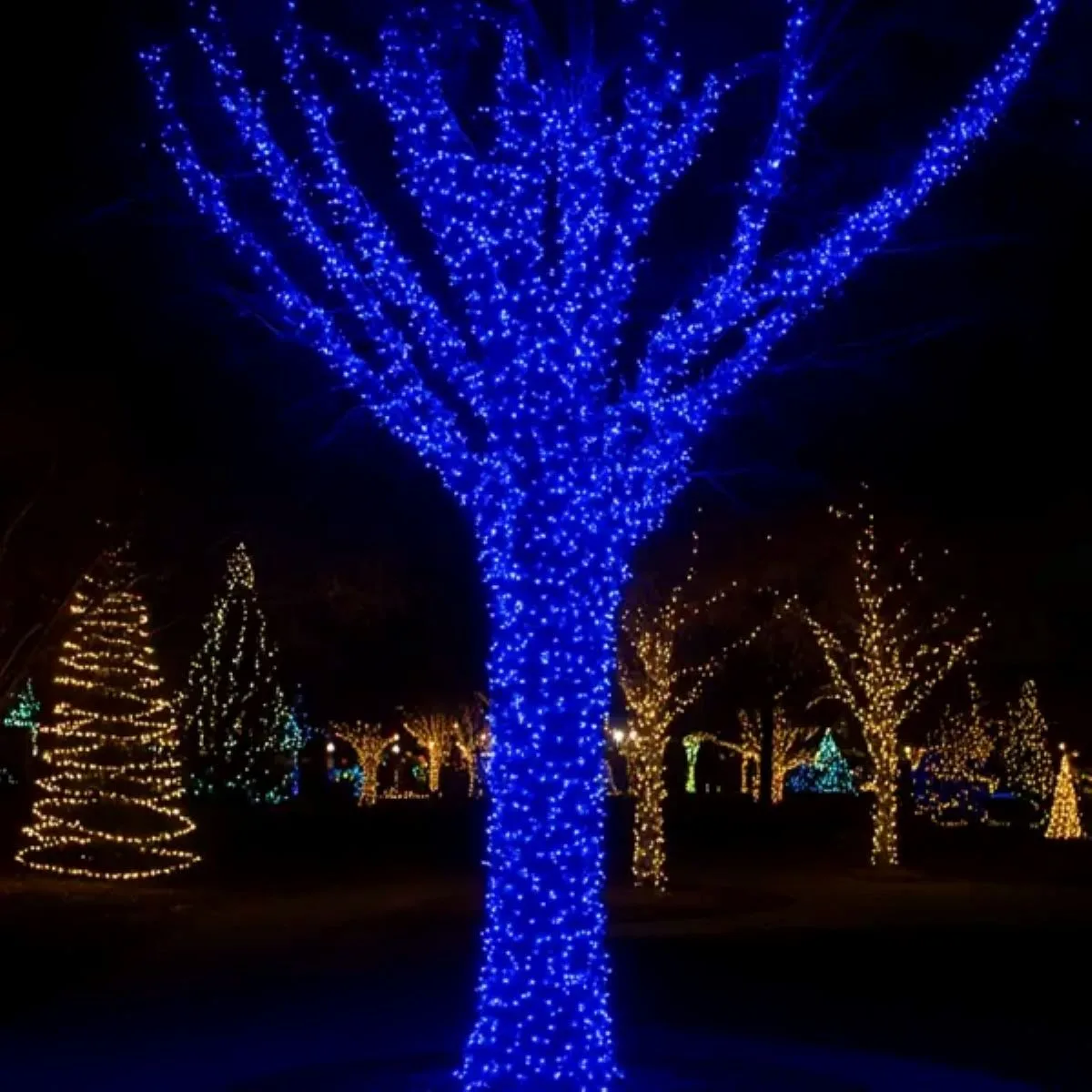 Гірлянда світлодіодна 1000 LED 100 м білий провід синій