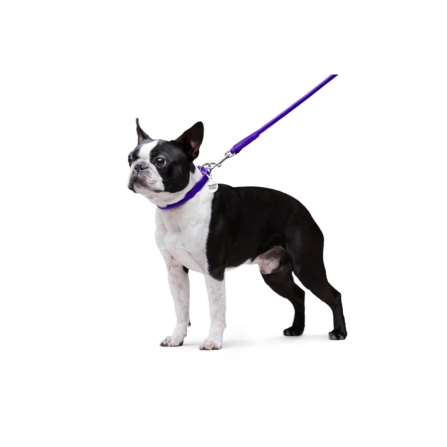 Поводок WAUDOG Glamour кожаный 8х122 см фиолетовый XS-S