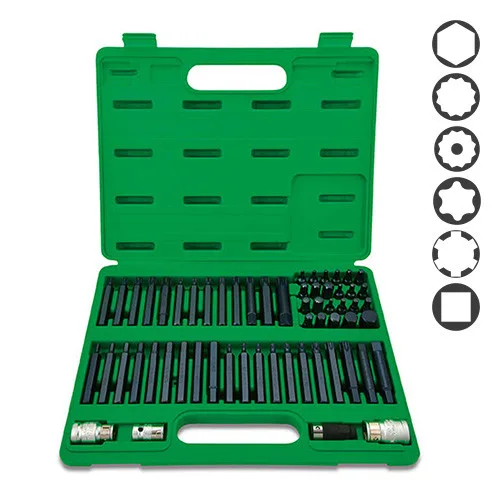 Набір біт TORX HEX SPLINE RIBE SQ 60 ед хром-ванадієва сталь 10х14 мм