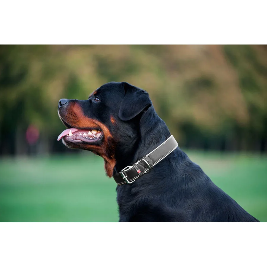 Нашийник WAUDOG Soft шкіряний 25 мм 38-49 см чорний