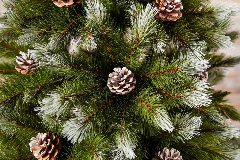 Сосна TriumphTree ПВХ 230 см зелена з інеєм та шишками