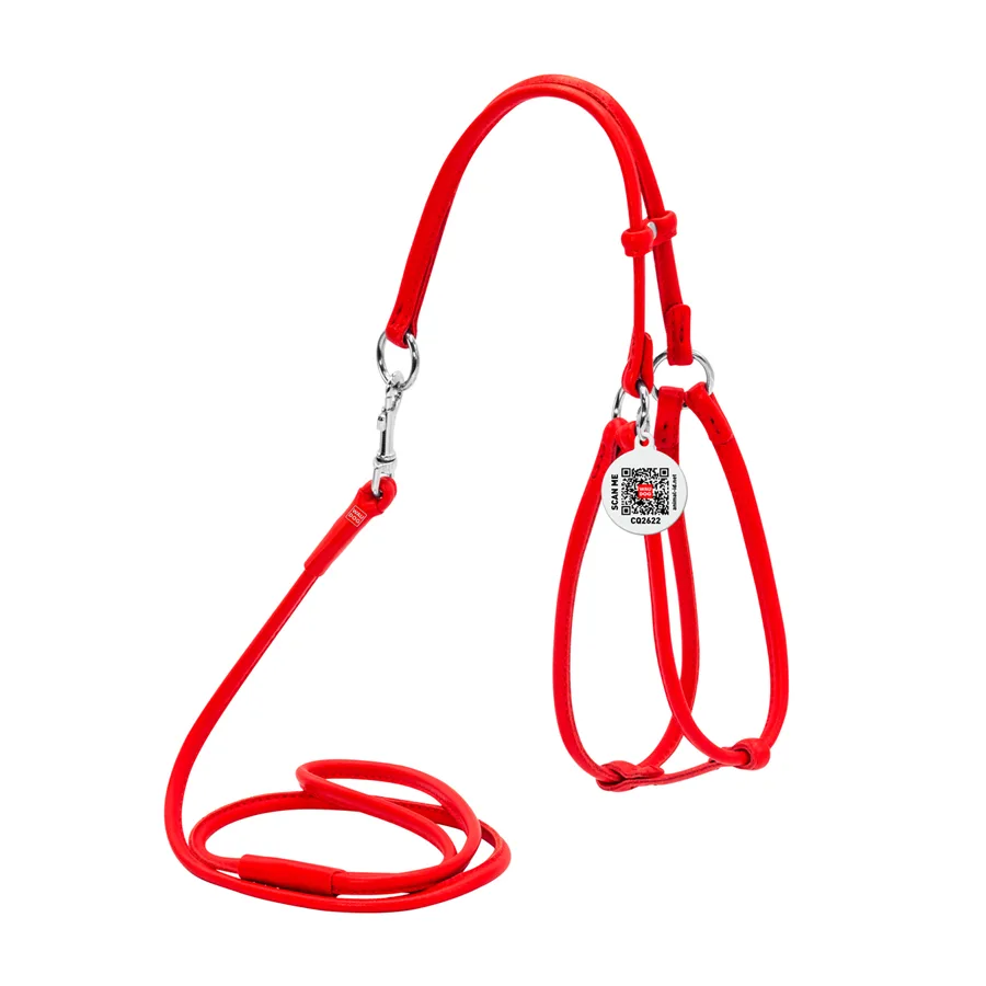 Шлея з повідцем WAUDOG Glamour шкіряна 6 мм 42-60 см червона