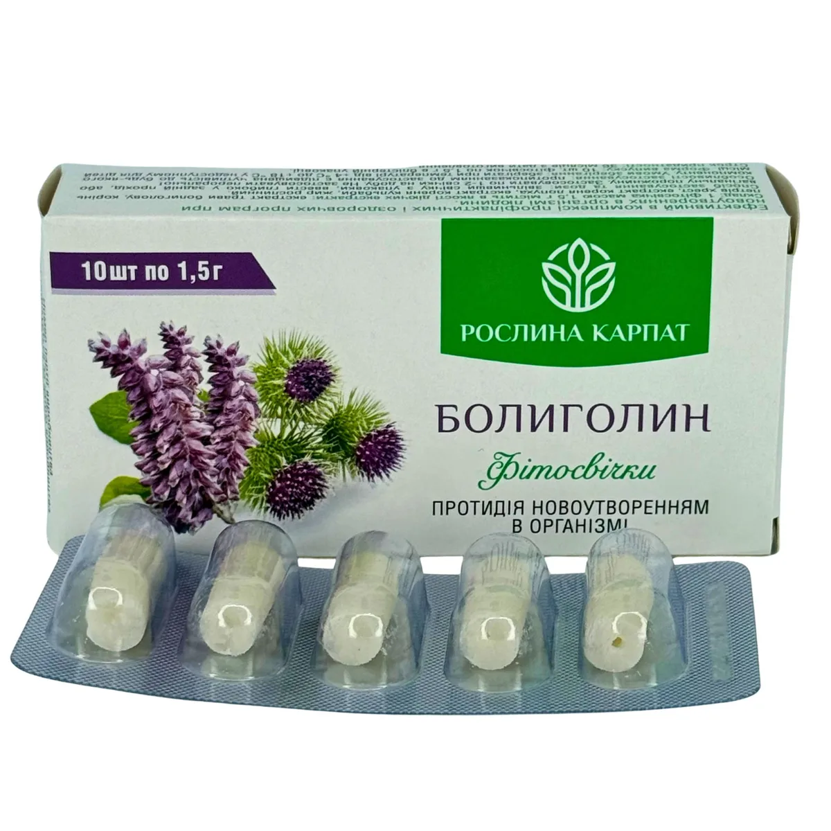 Фітосвічки Болиголин 10 шт. – природна підтримка при новоутвореннях Рослина Карпат
