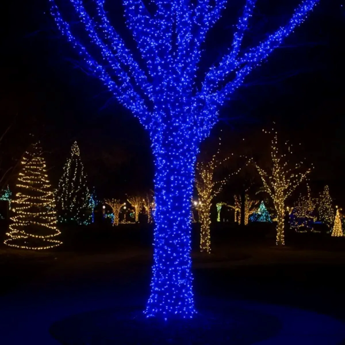 Гірлянда світлодіодна 100 м 1000 LED чорний провід синій