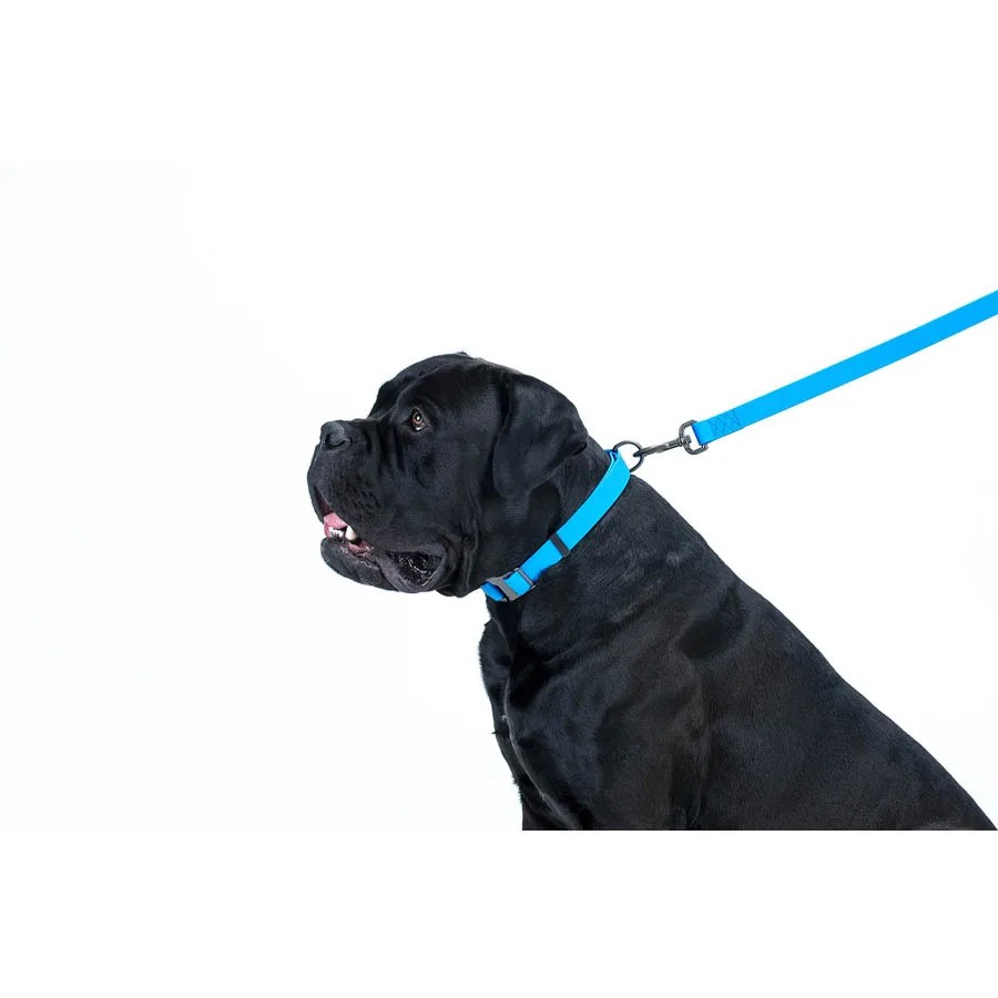 Повідець WAUDOG Waterproof 20 мм x 183 см Collartex блакитний