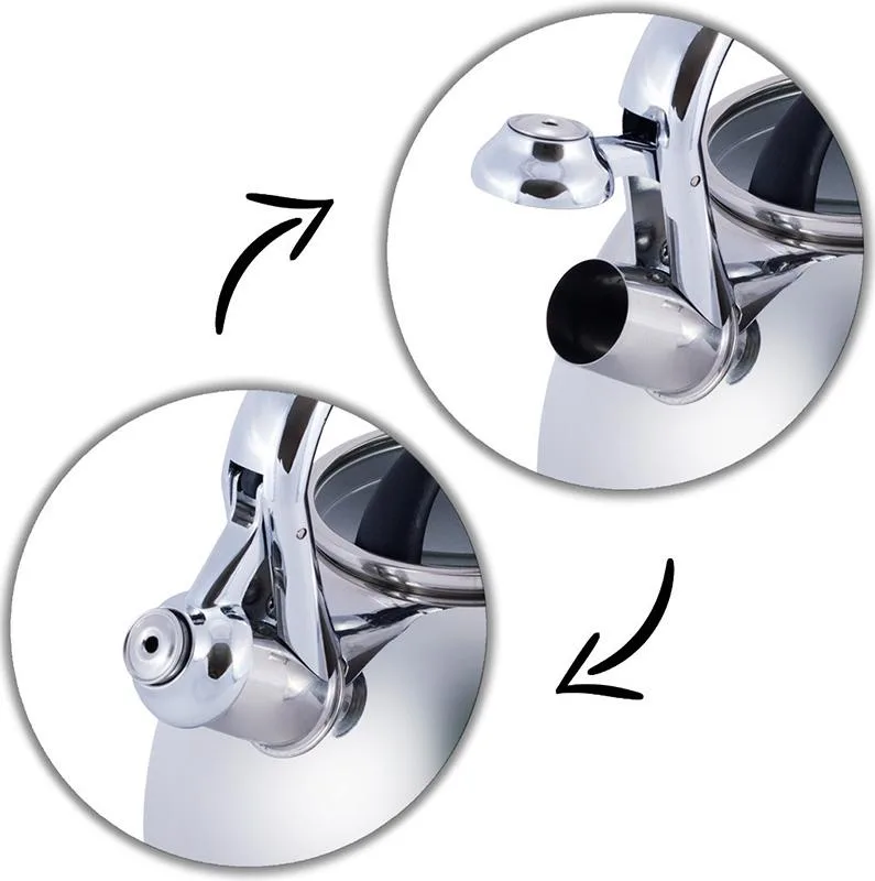 Чайник Kamille Whistling Kettle 2.8л из нержавеющей стали со свистком и стеклянной крышкой