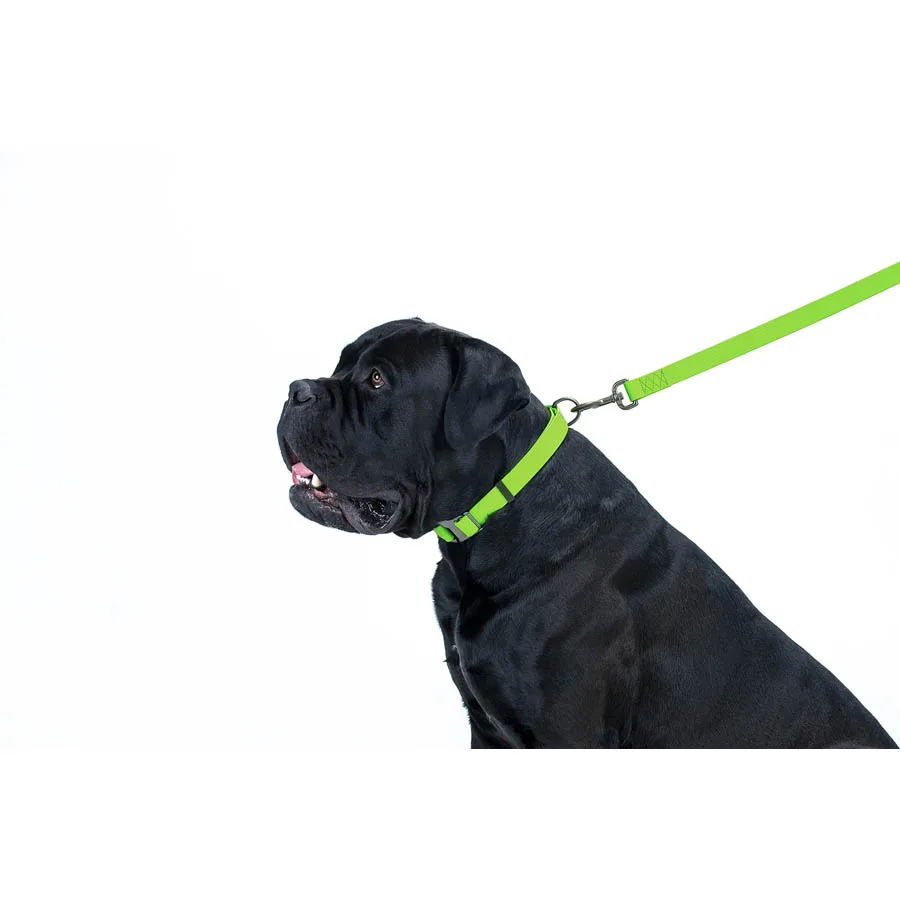 Поводок WAUDOG Waterproof S 15х183 см Collartex салатовый