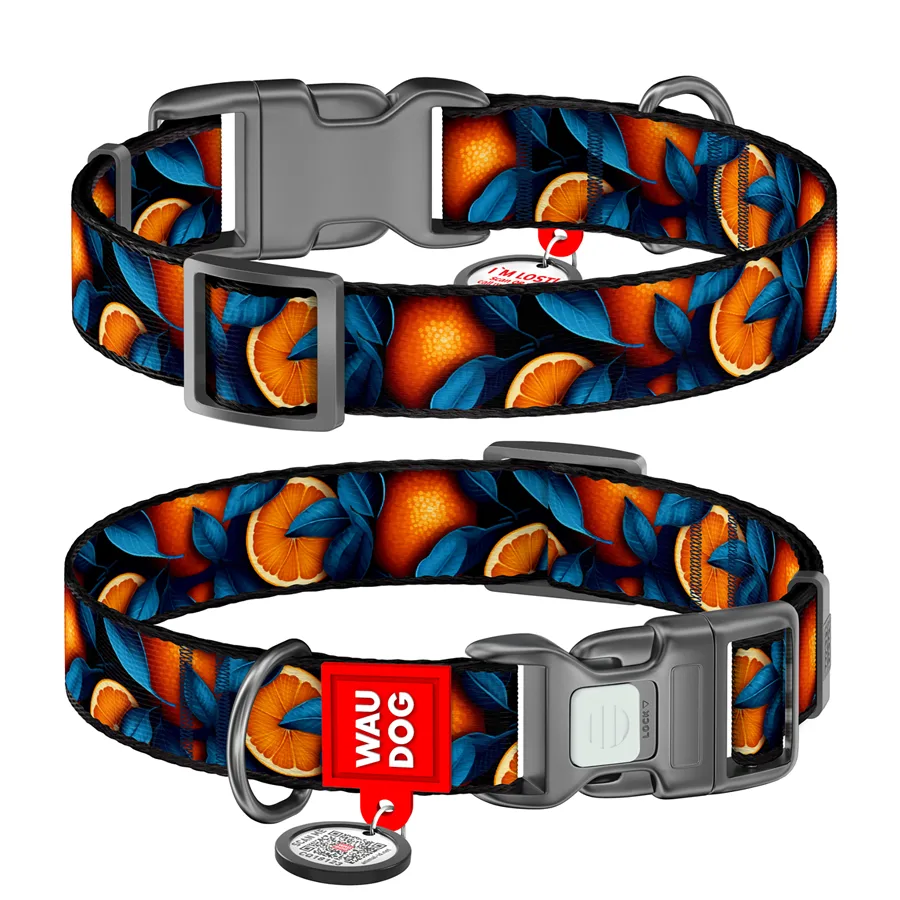 Нашийник WAUDOG Nylon L 33-49 см нейлоновий малюнок Апельсини 25 мм