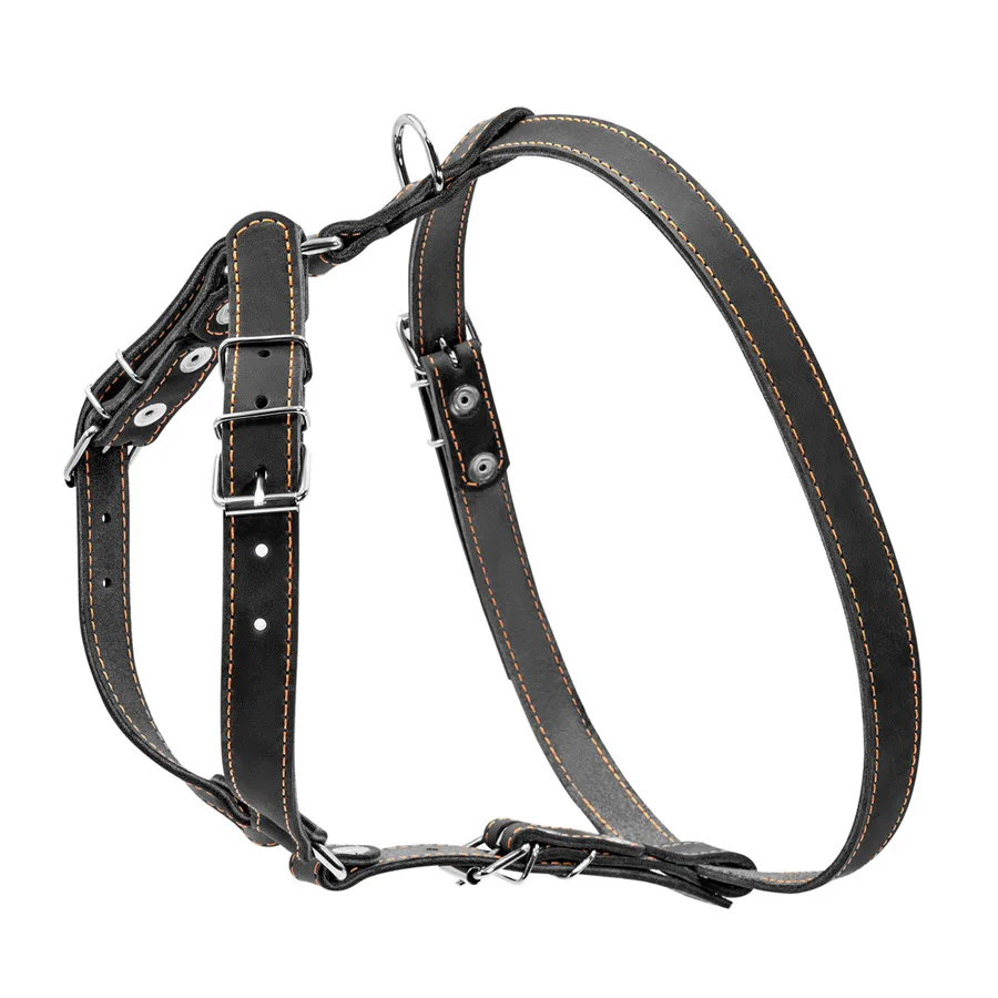 Шлейка CoLLaR черная одинарная 20 мм кожа M 40-56 см для малых и средних собак