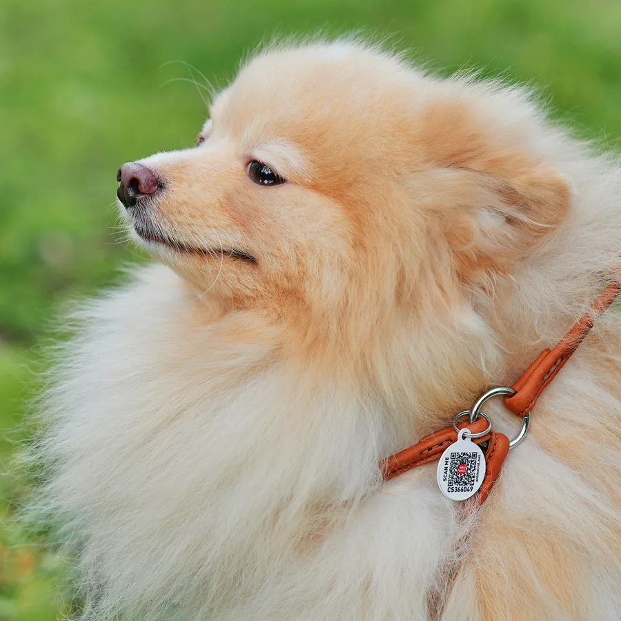 Шлея з повідцем WAUDOG Soft 6 мм 26-46 см натуральна шкіра коричнева