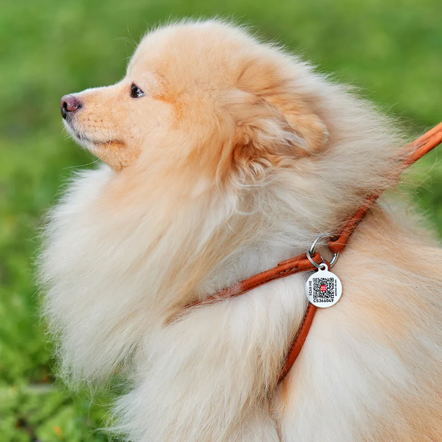 Шлея з повідцем WAUDOG Soft 6 мм 26-46 см натуральна шкіра коричнева