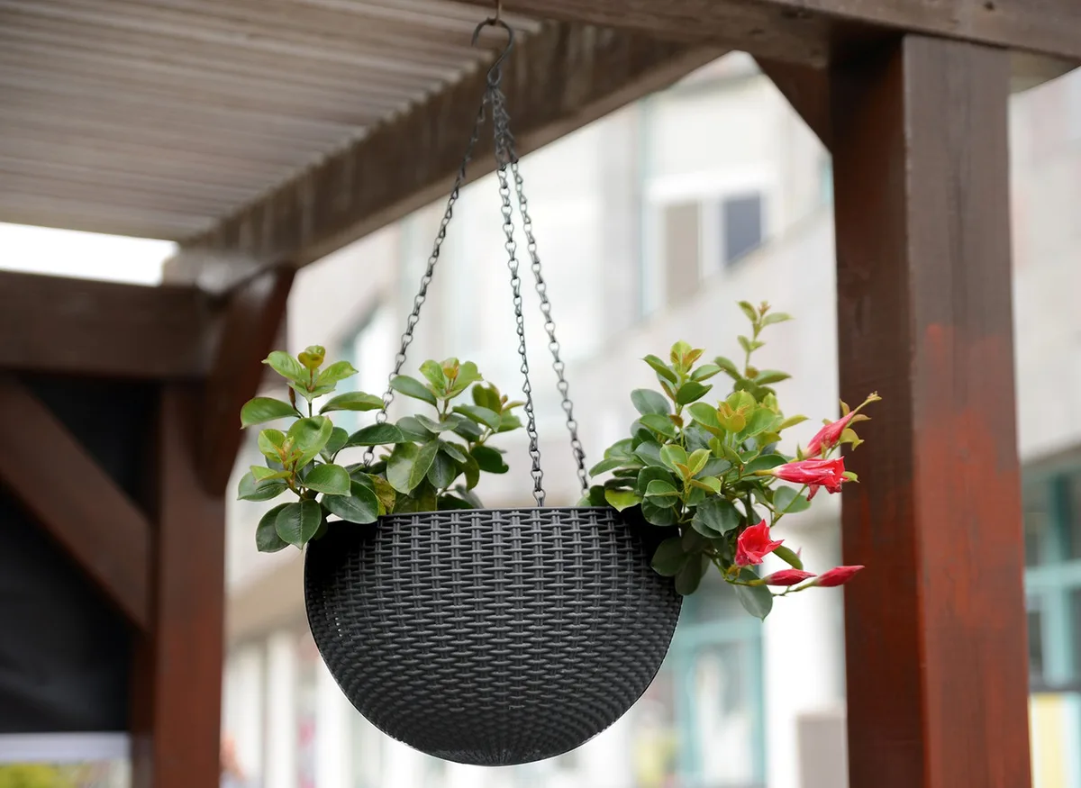 Горщик для рослин пластиковий 8,6 л антрацит Rattan hanging sphere з цепками