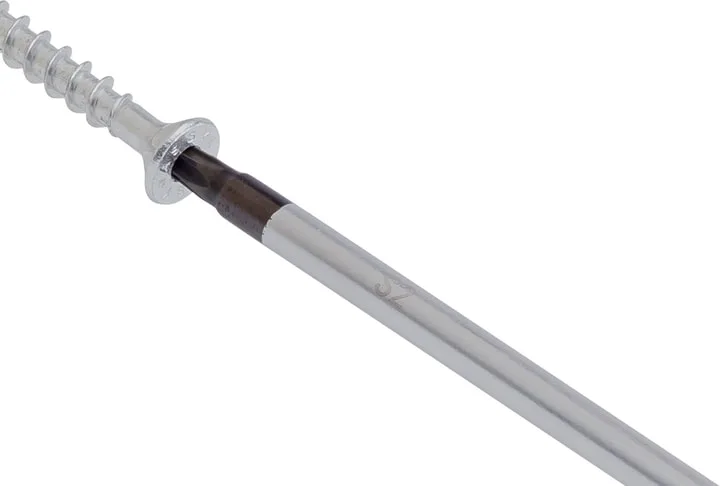 Викрутка Bosch Professional Torx T20, довжина 100 мм