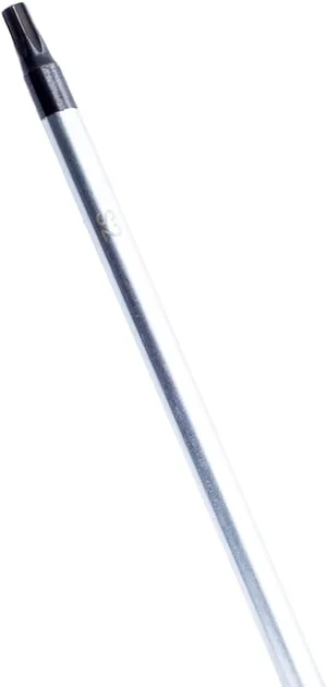 Викрутка Bosch Professional Torx T20, довжина 100 мм
