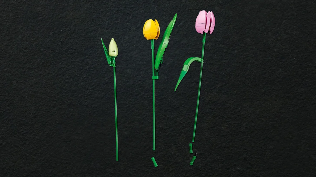 Конструктор LEGO Botanicals Букет тюльпанів