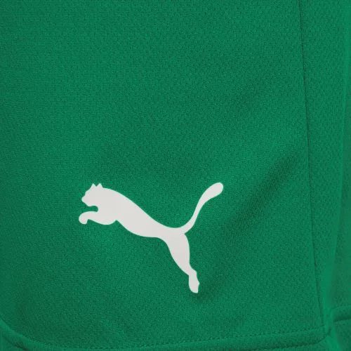 Шорти Puma поліестер L зелений чоловічі