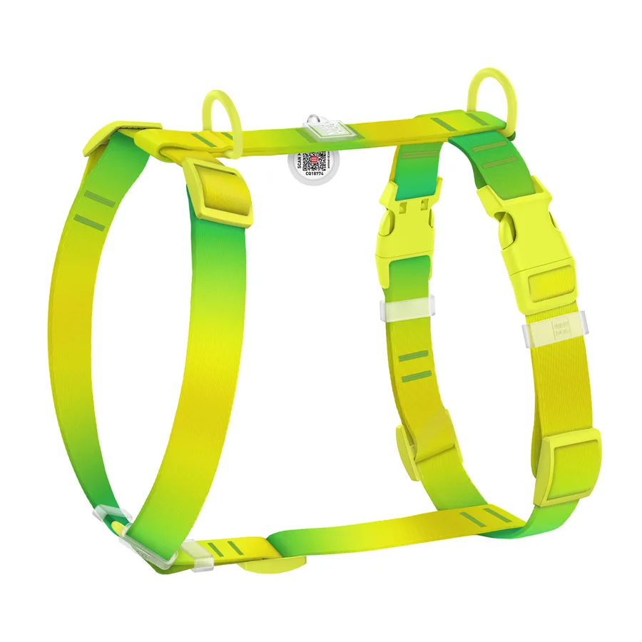 Шлея H-подібна WAUDOG Nylon Recycled 20 мм М 38-60 см салатова