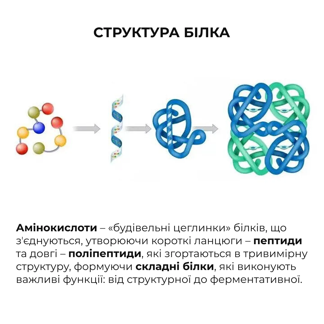 Набір шовкового догляду за тілом з дерев'яним шкребком Hillary Perfect Silk Body Care + Gua Sha