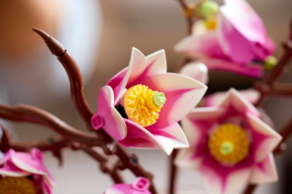 Конструктор LEGO Botanicals гілки магнолії квіти різнокольорові